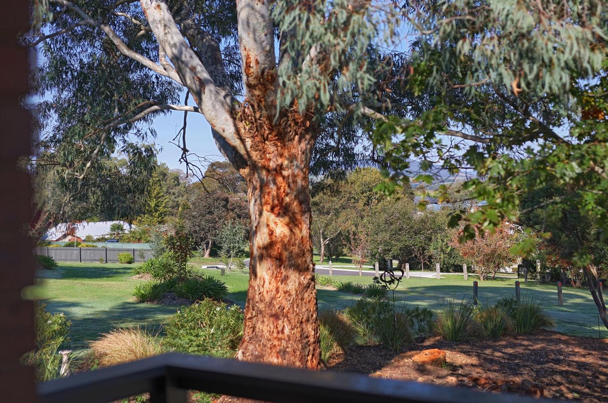 Yarra Gables Motel Healesville Eksteriør billede